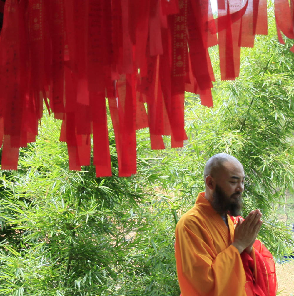 10 菩提树下为众生祈福_副本.jpg