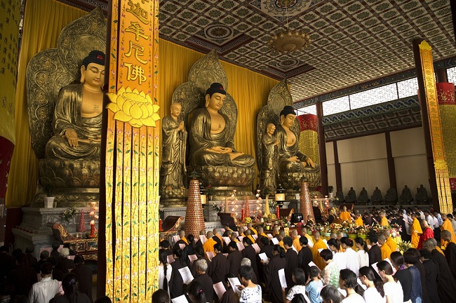 1440761121895940.jpg 1.jpg