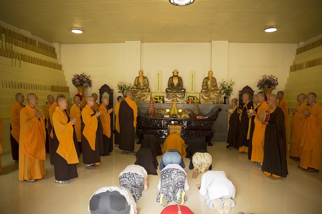 1440761200606466.jpg 10.jpg