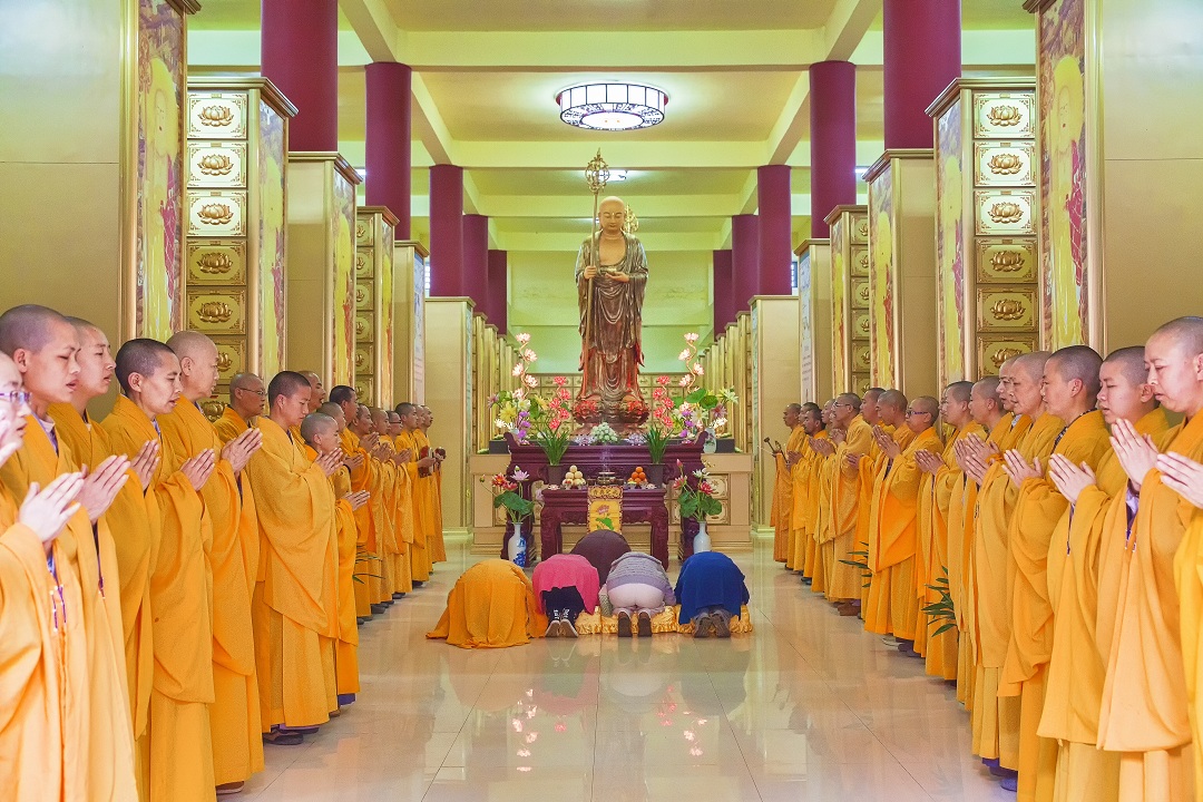 1459993581428894.jpg IMG_0922.jpg