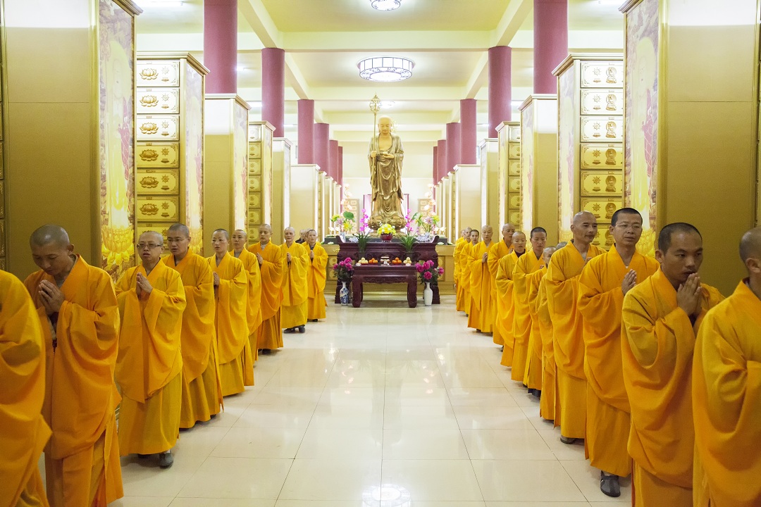 1459993606494021.jpg IMG_0997.jpg