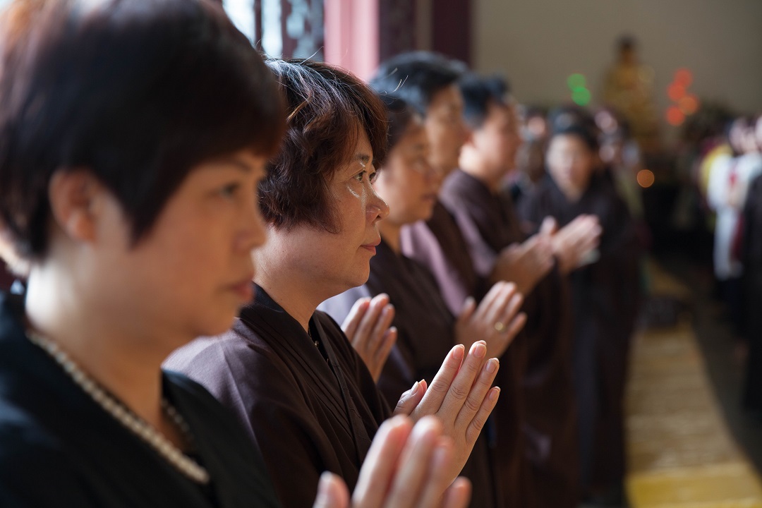 1463217723247142.jpg IMG_0875.jpg