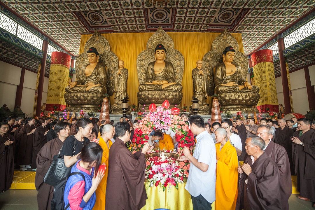 1463217766685903.jpg IMG_0991.jpg