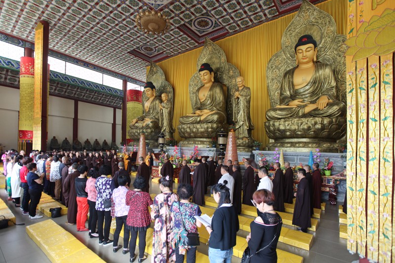 1499305677362620.jpg IMG_4565.JPG