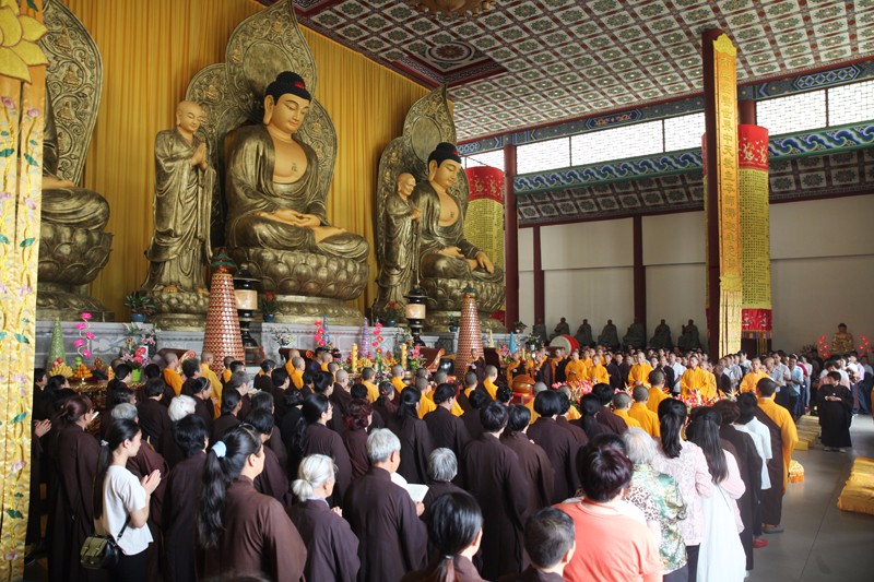 1499305811968247.jpg IMG_4959.JPG