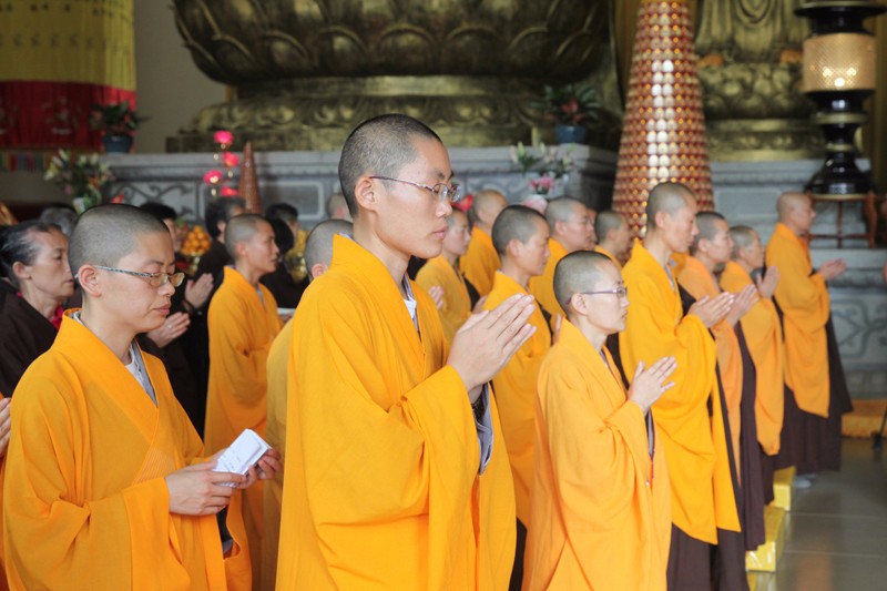 1499306228275974.jpg IMG_4962.JPG