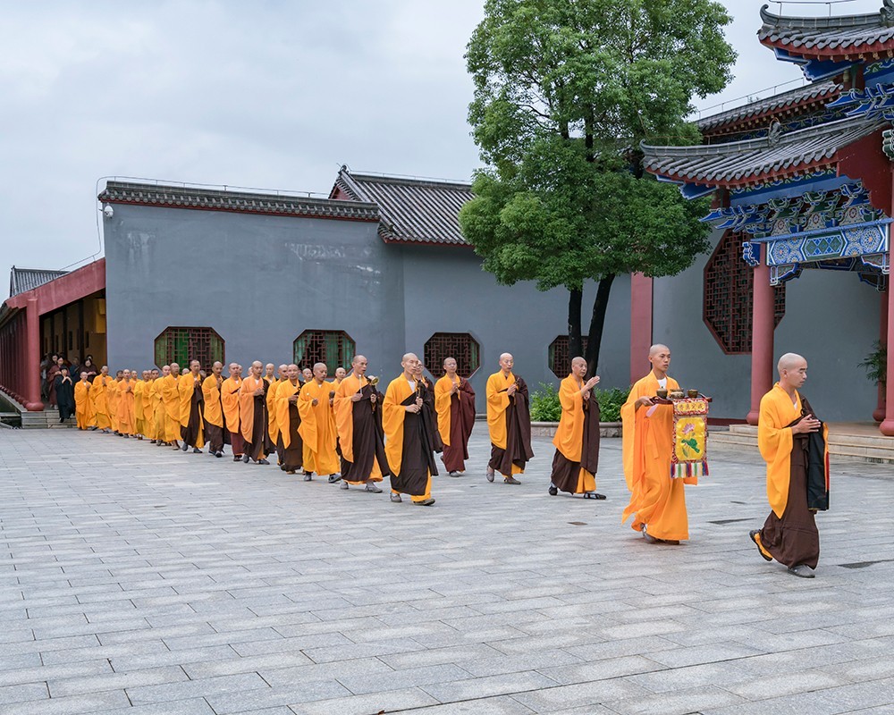 _DSC7233.jpg _DSC7233.jpg