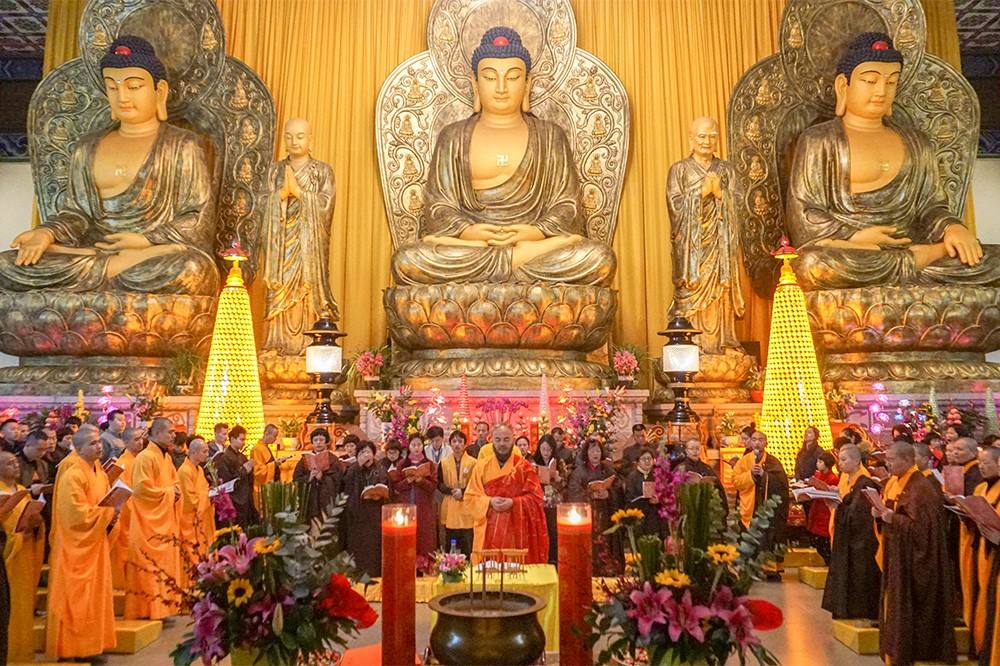 DSC02502.jpg DSC02502.jpg