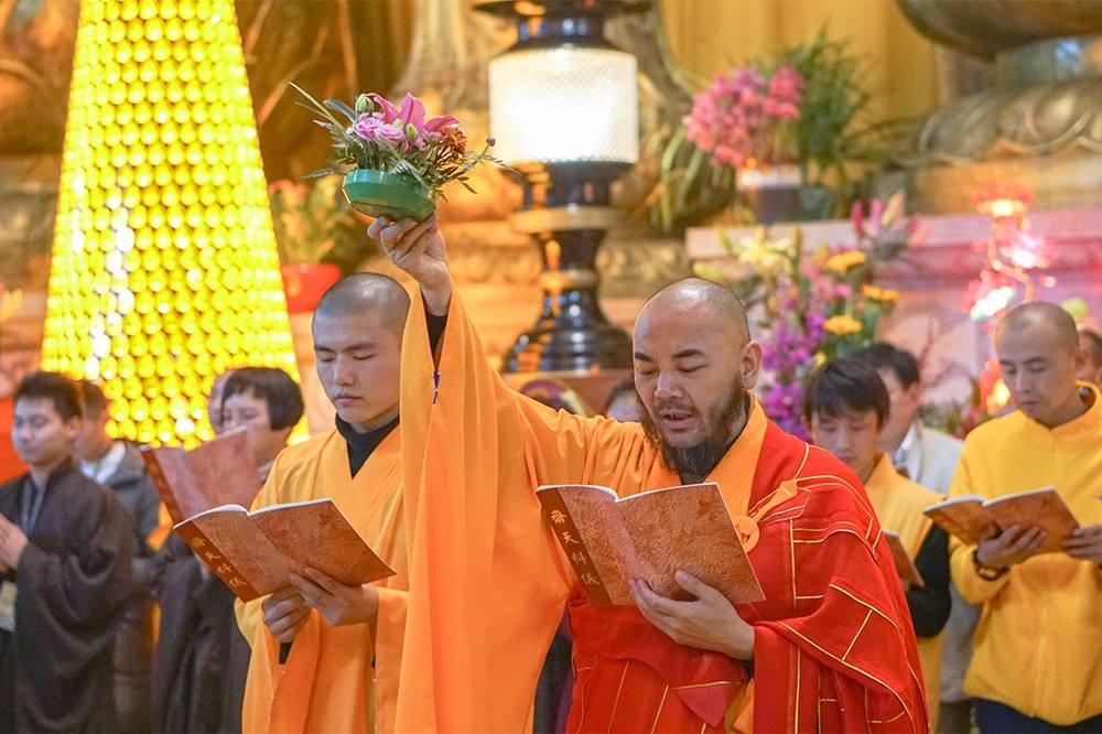 DSC02415.jpg DSC02415.jpg