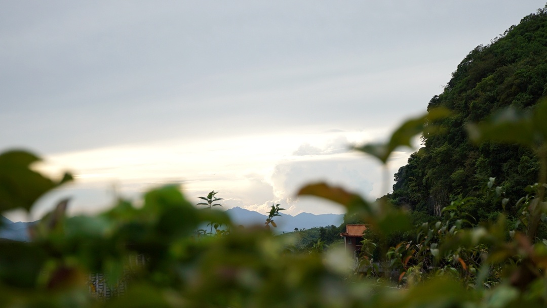 DSC07374_副本.jpg