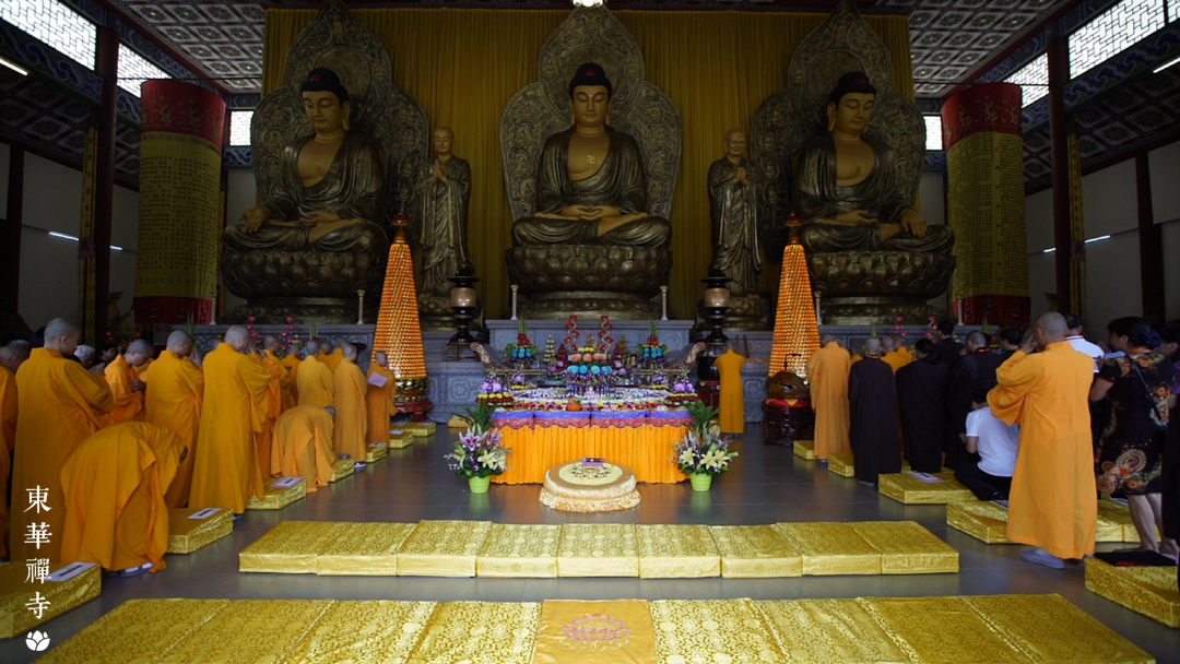 1634518538880482.jpg C0001T01.jpg