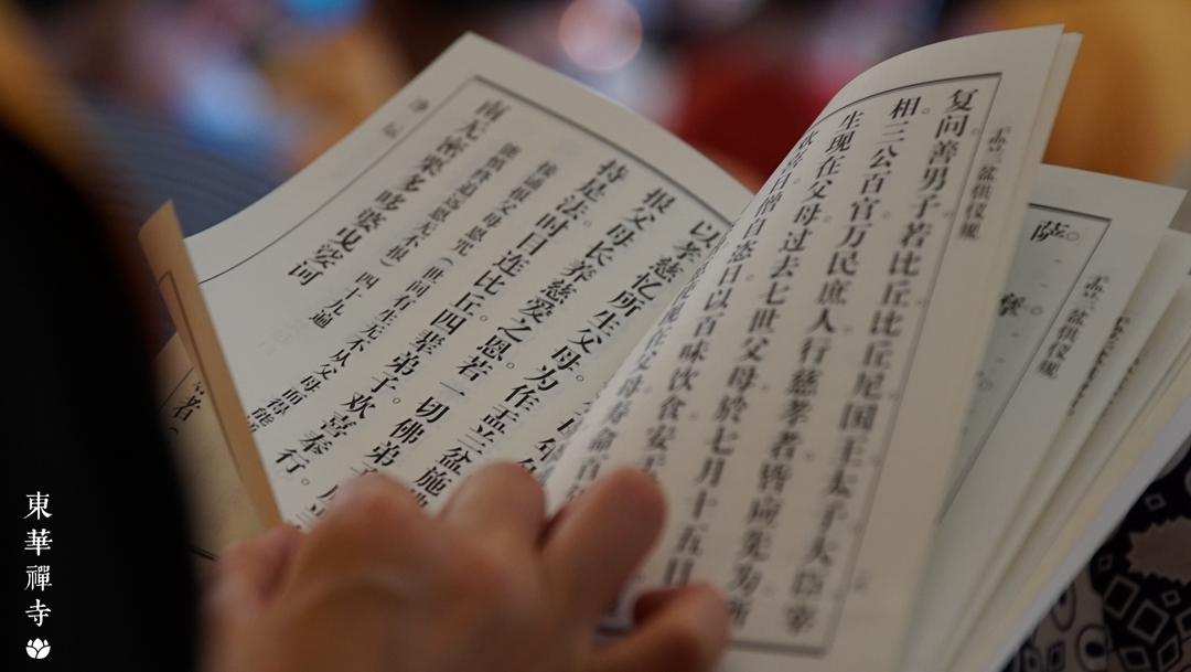 1634518648372290.jpg DSC07622.jpg