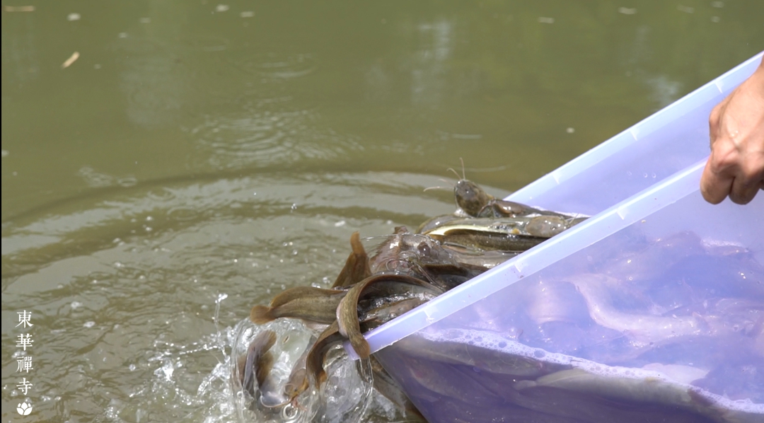 1634519038940551.jpg 9d221f656a53d04ad4a3cf2768ad9b5.jpg