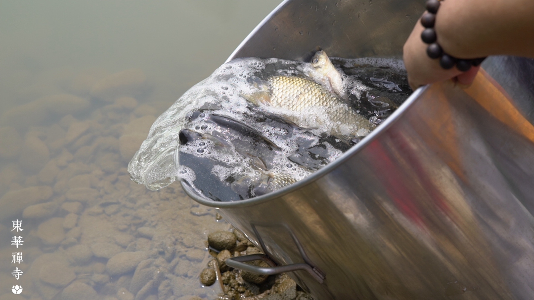 1634519047504140.jpg C0052T01.jpg