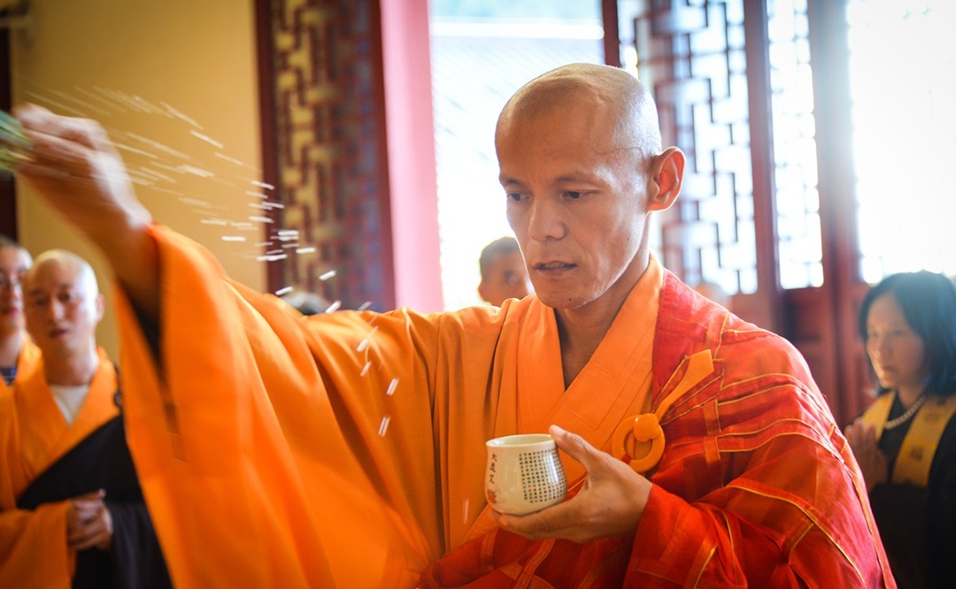 DSC_73010.jpg DSC_73010.jpg