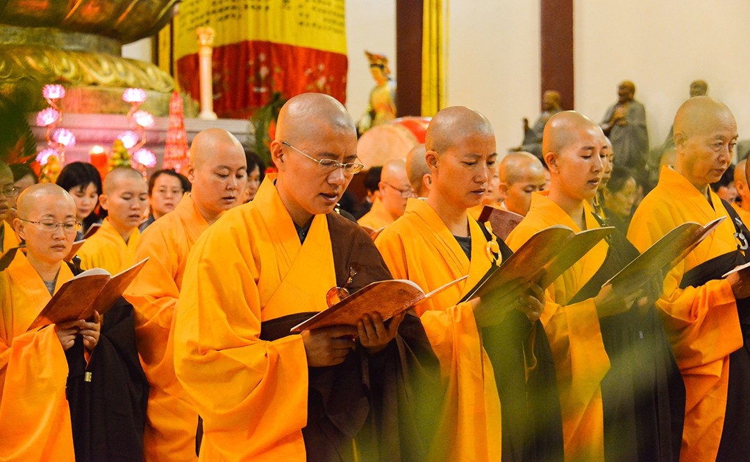 DSC_7550.jpg DSC_7550.jpg