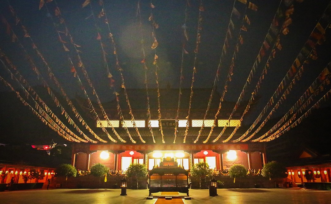 DSC_7310.jpg DSC_7310.jpg