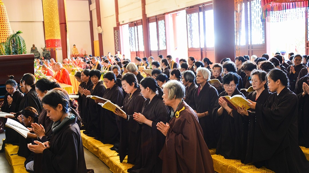 DSC_8138.jpg DSC_8138.jpg