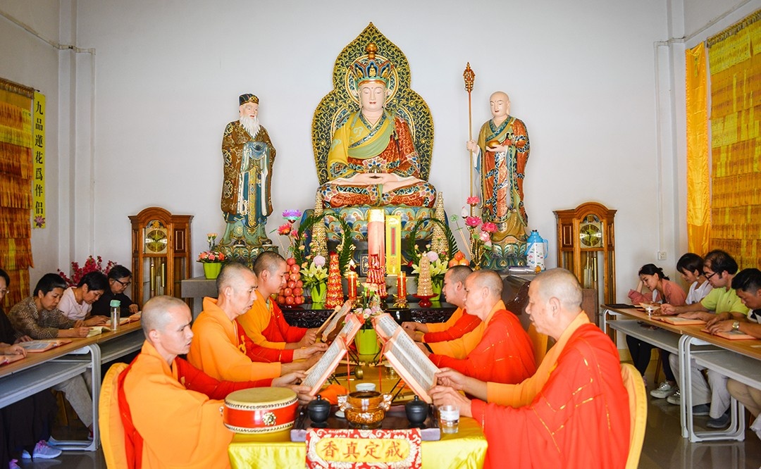 DSC_8111.jpg DSC_8111.jpg