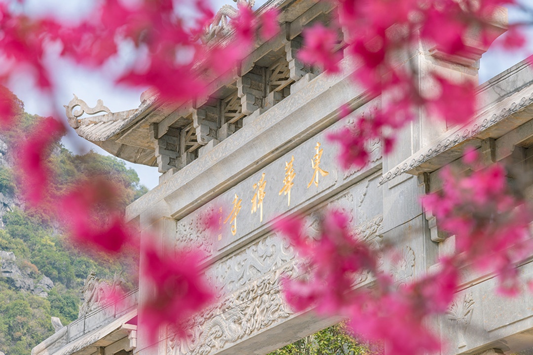 _DSC1341_副本.jpg _DSC1341_副本.jpg