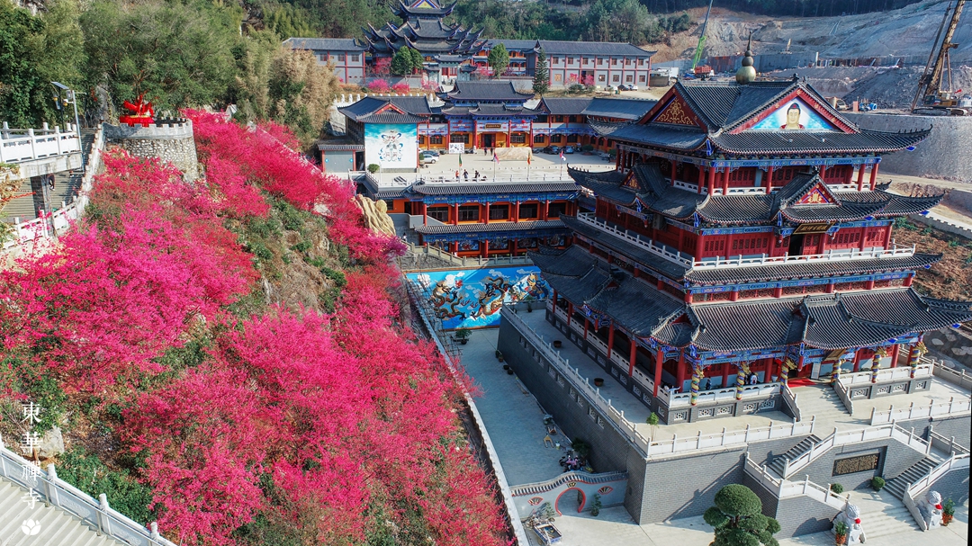 DJI_0025.jpg