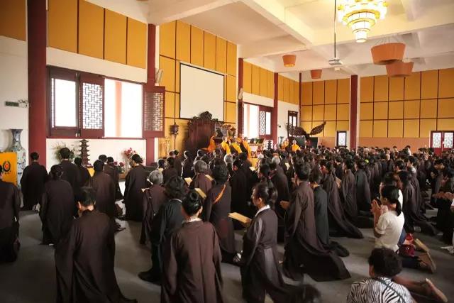 1478072863128252.jpg 7.jpg