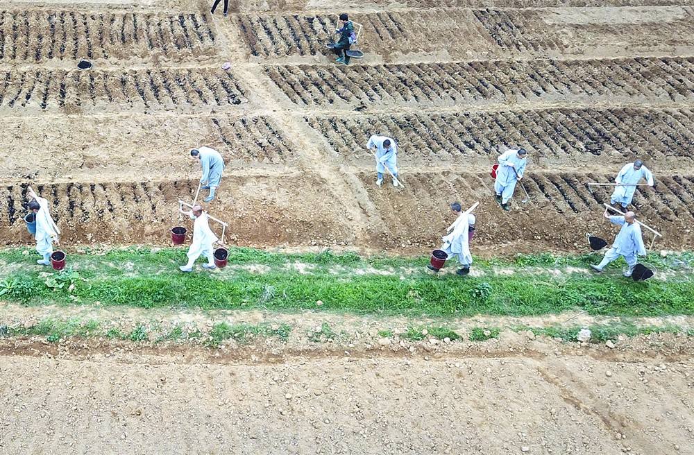 DJI_0012.JPG