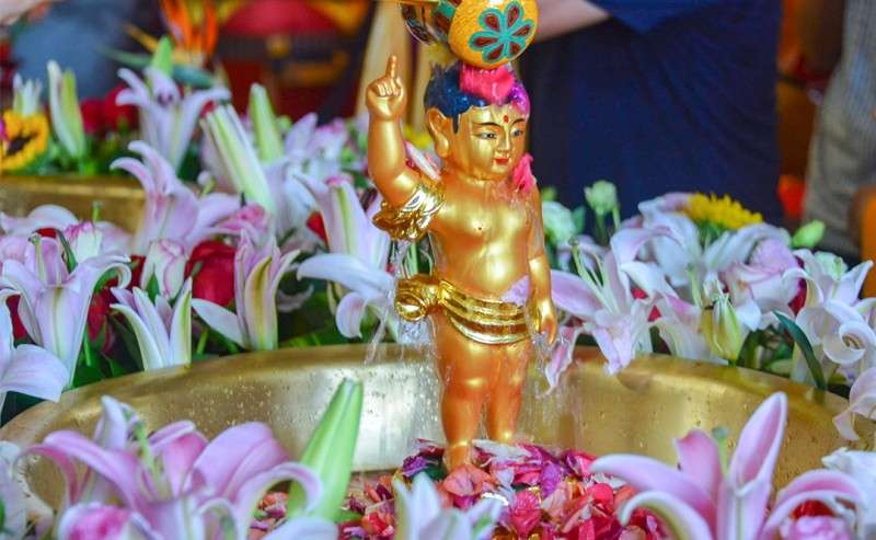 DSC_5763.jpg DSC_5763.jpg