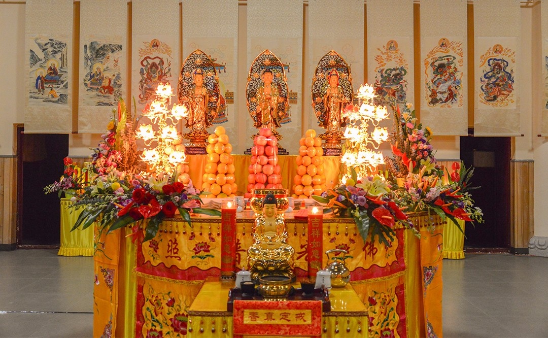 DSC_8048.jpg DSC_8048.jpg