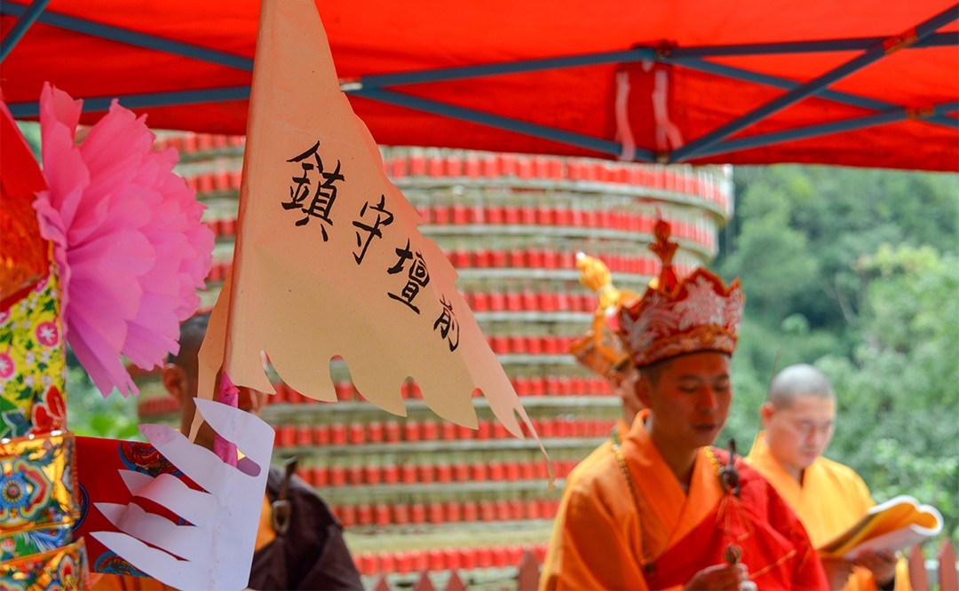 DSC_8458.jpg DSC_8458.jpg