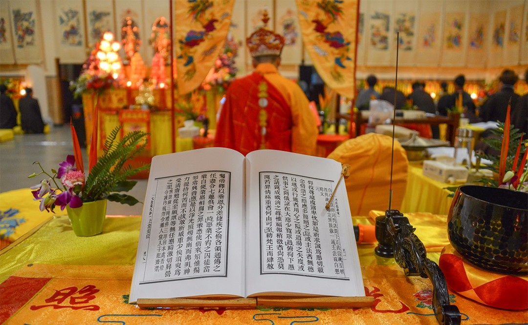 DSC_8596.jpg DSC_8596.jpg