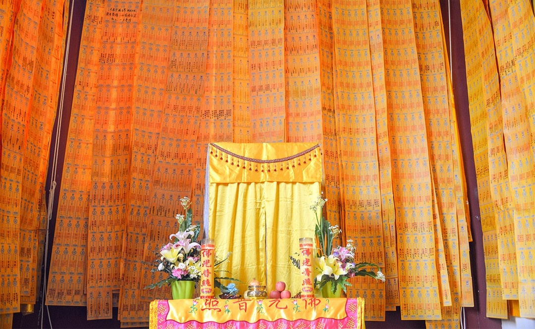 DSC_8841.jpg DSC_8841.jpg