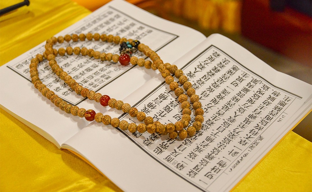 DSC_9045.jpg DSC_9045.jpg