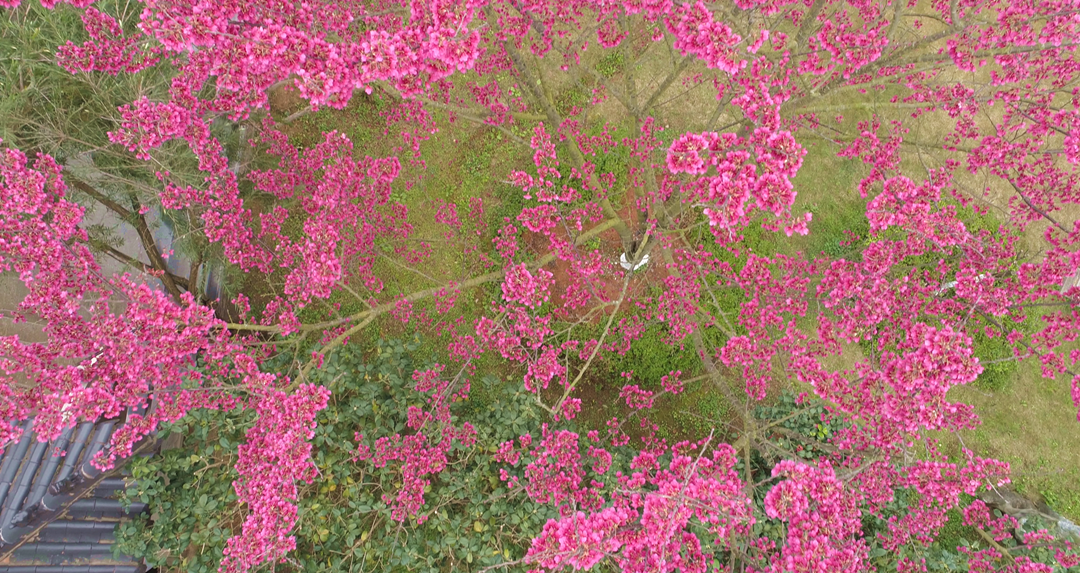 WeChat 圖片_20190206230420_副本.png