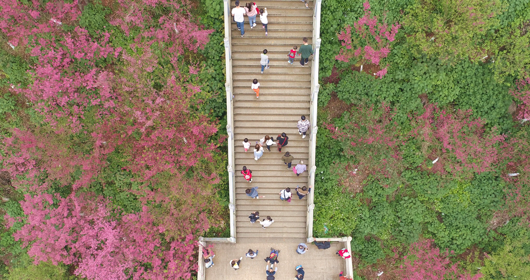 WeChat 圖片_20190206230409_副本.png