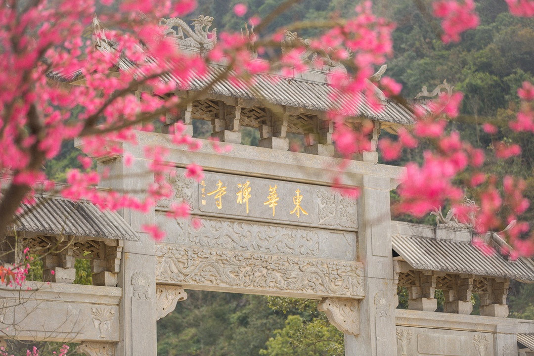 1D0A0362_副本.jpg