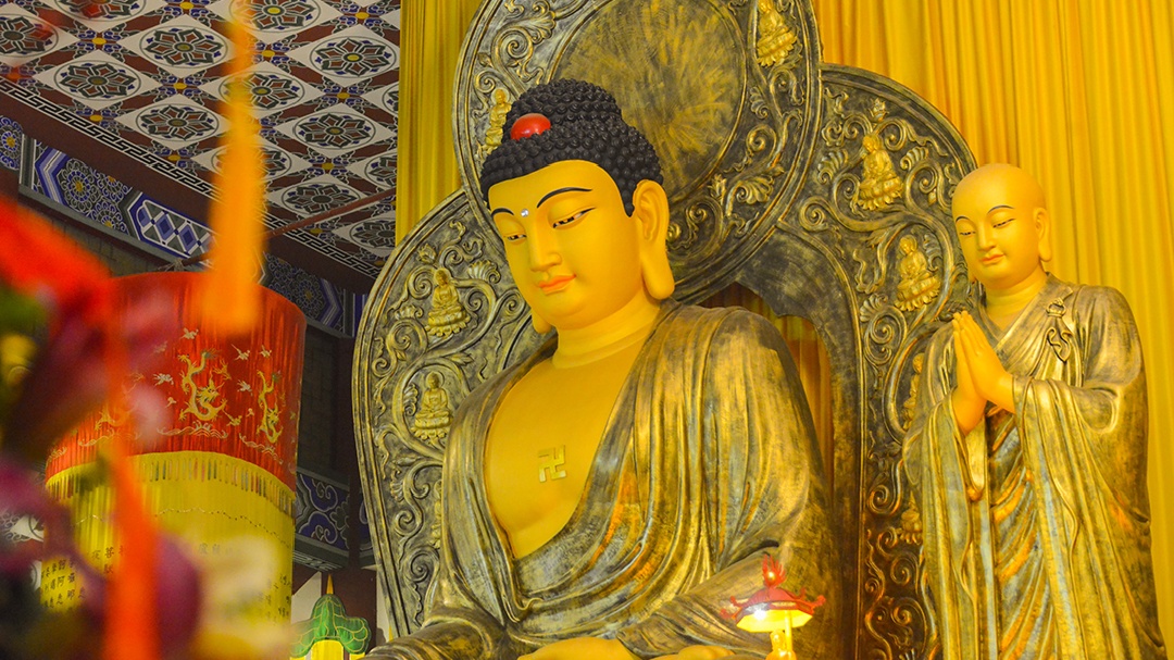 5f51e1da-d86c-4ca2-ad2a-2190ac10c663.jpg