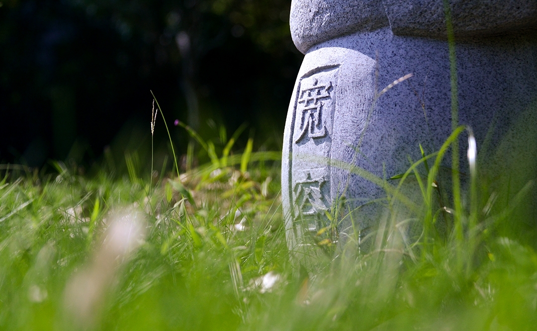 1626228178765099.jpg 0Eu8LTB4J_KKRf.jpg