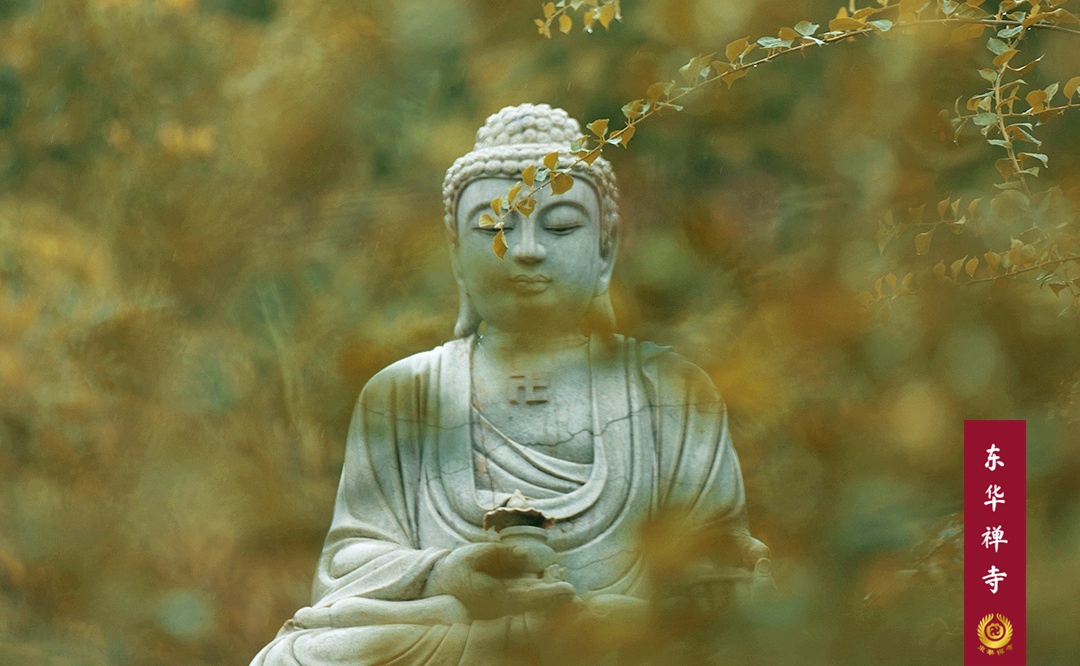 1628931552576543.jpg 3.jpg