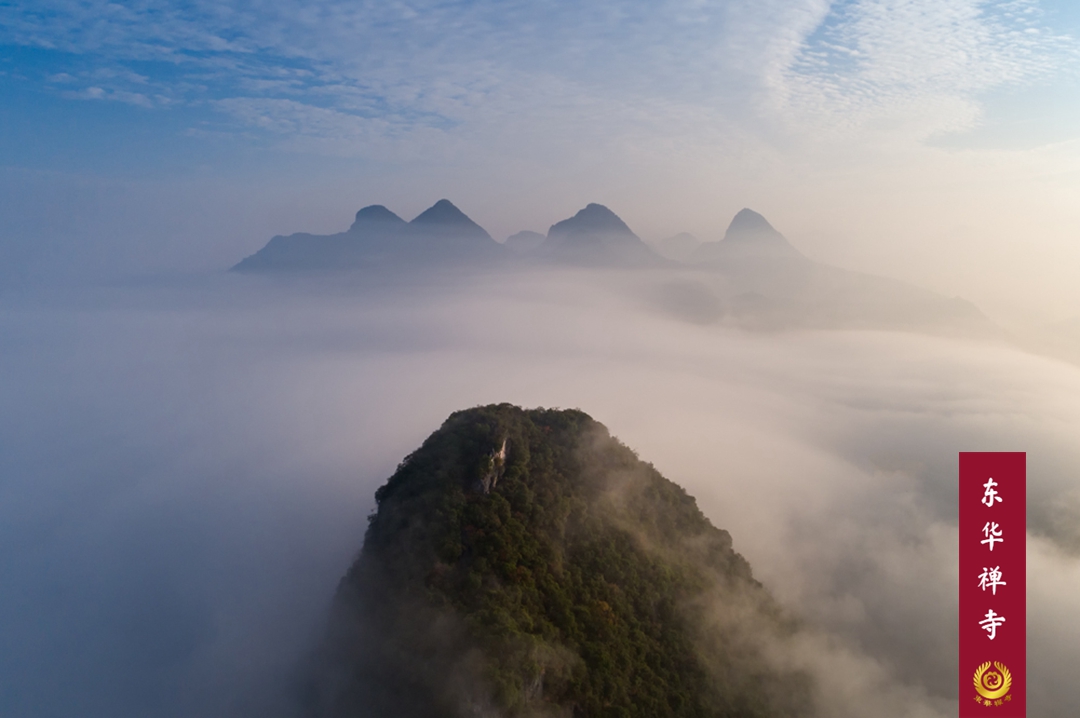 1628931558821525.jpg 201712250733435.jpg