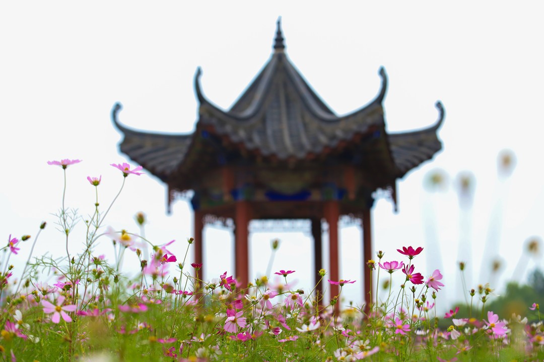 IMG_8159_副本.jpg IMG_8159_副本.jpg