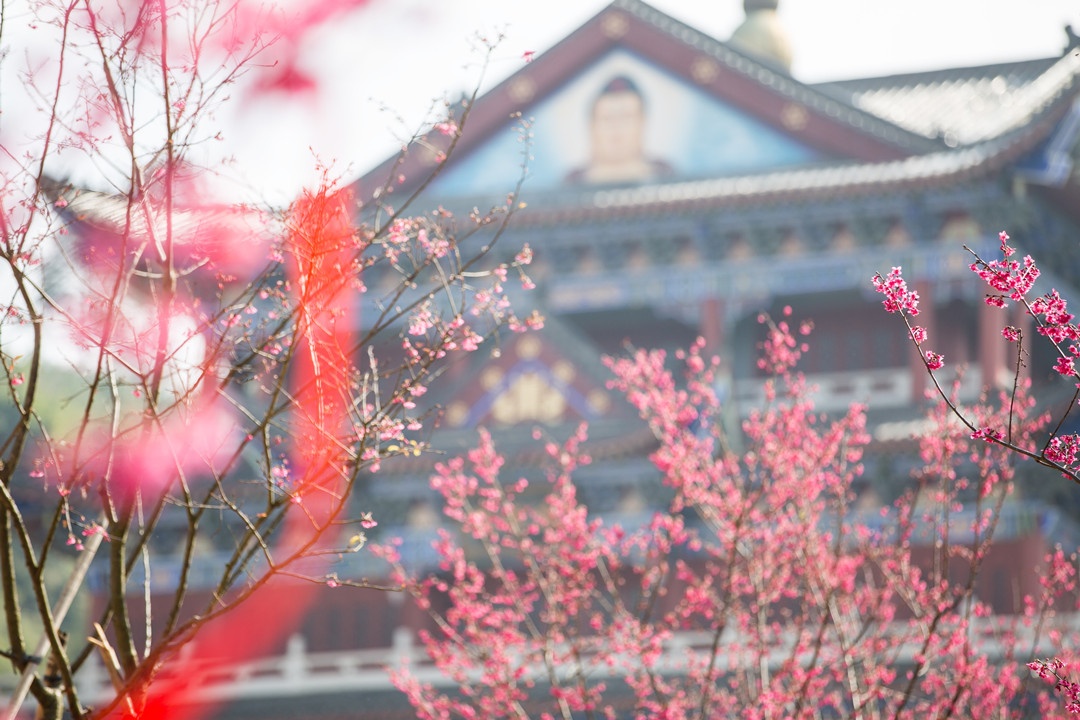 1D0A4340_副本.jpg