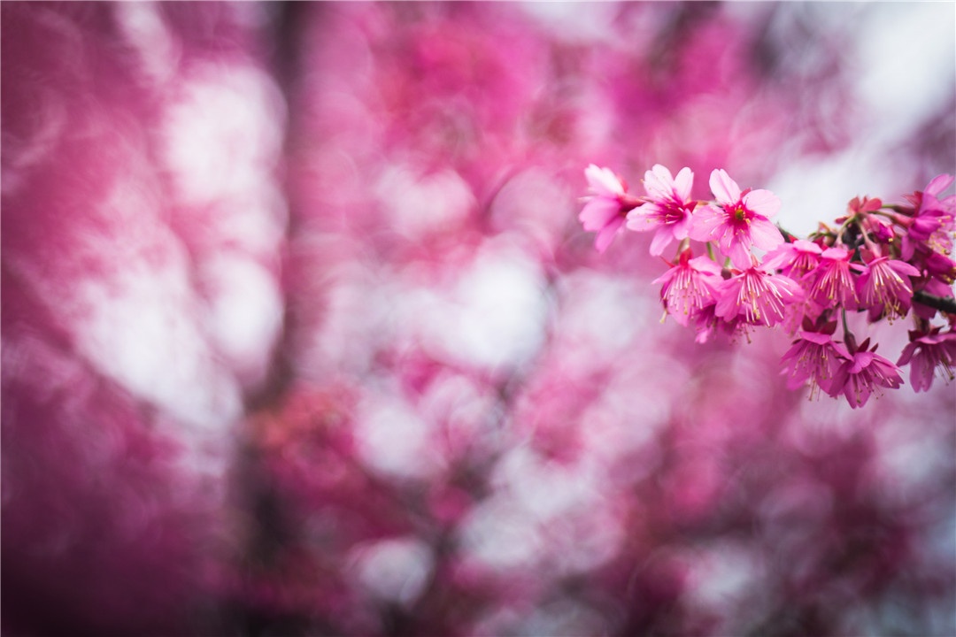 1D0A7886_副本.jpg