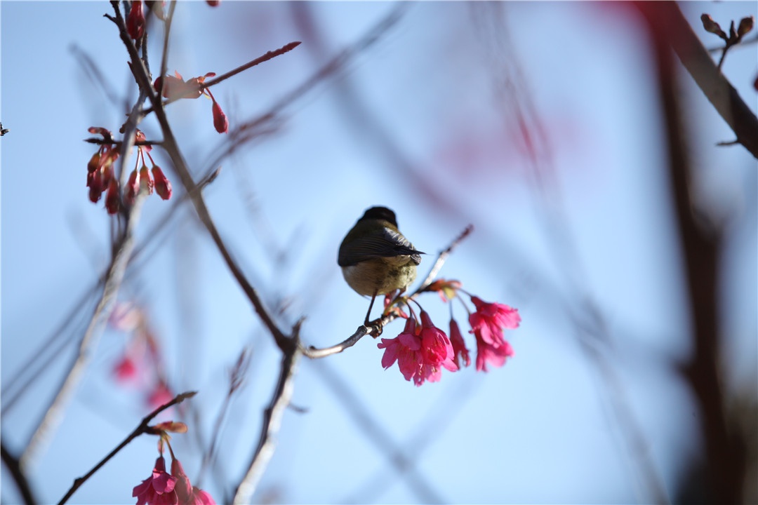 IMG_8067_副本.jpg
