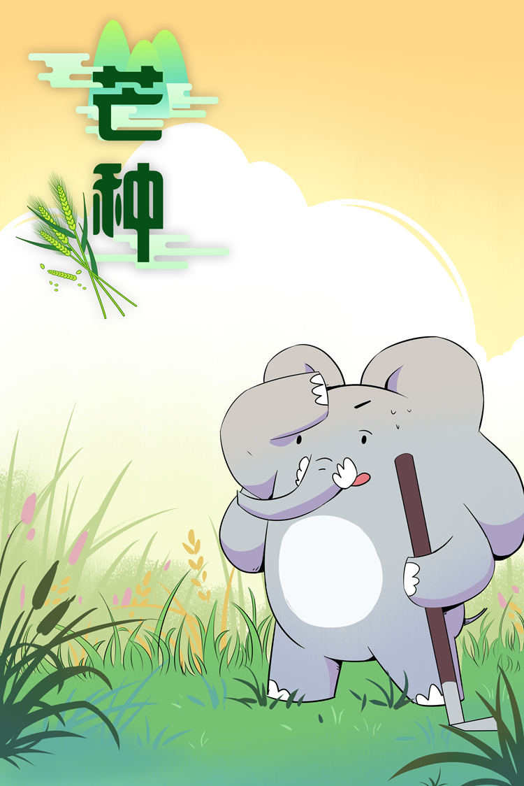 芒种.png