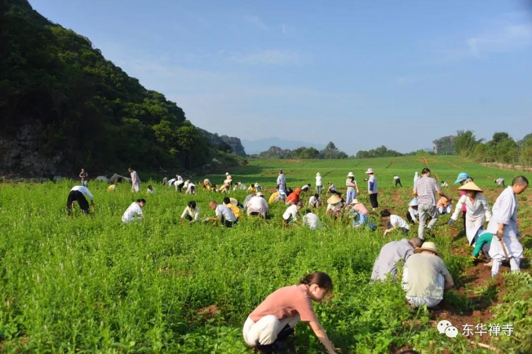 1546395207797449.jpg 微信图片_20190102101020.jpg