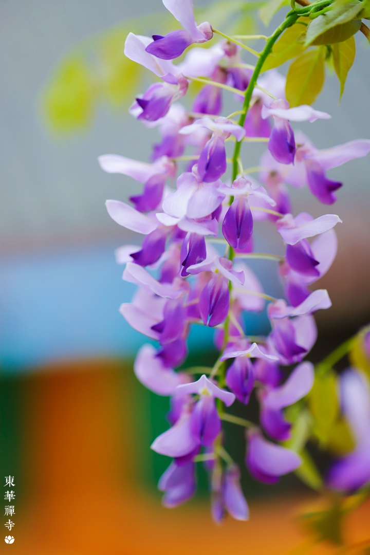 IMG_2403.jpg IMG_2403.jpg