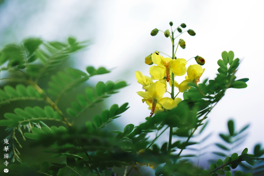 IMG_3163.jpg IMG_3163.jpg