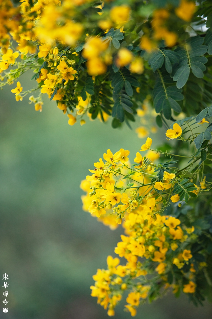 IMG_1470.jpg IMG_1470.jpg