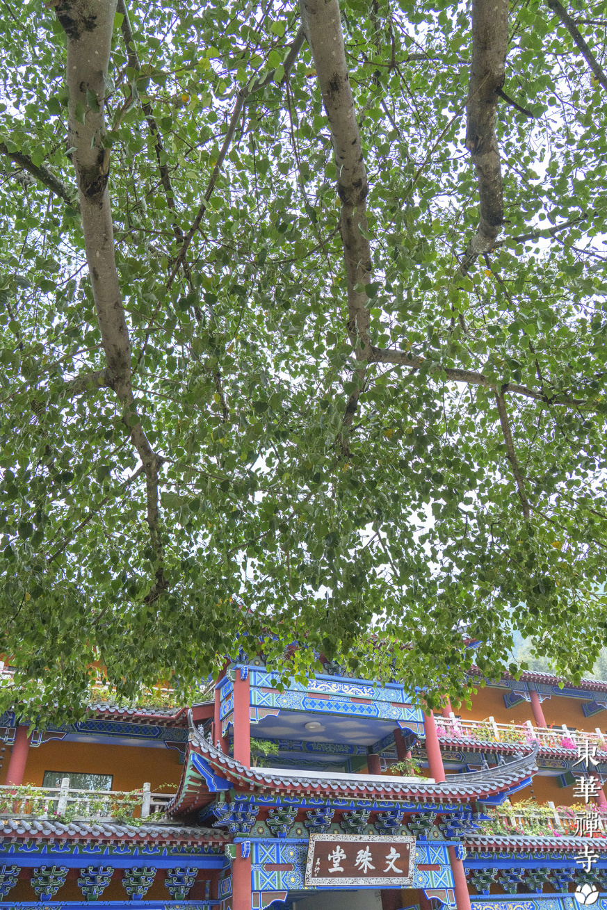 IMG09633.jpg